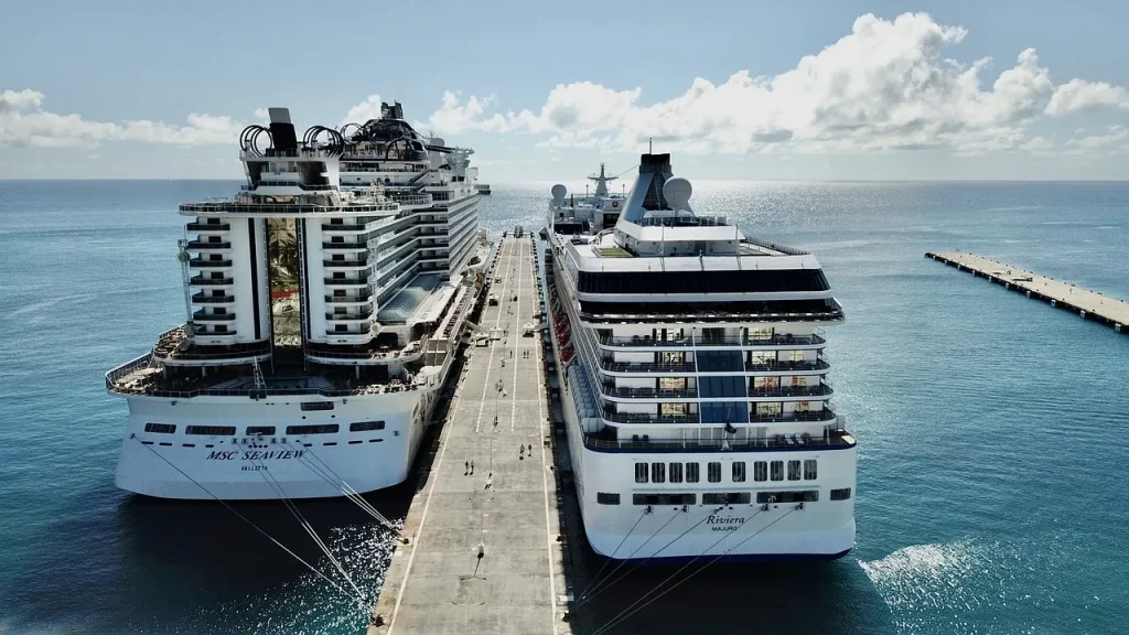 Two cruise ships in port